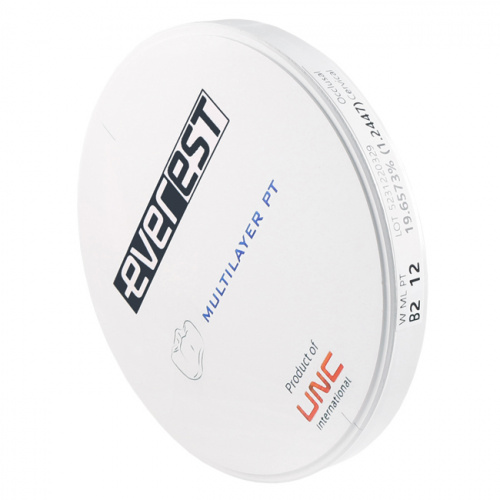 Диск циркониевый Everest Multilayer PT, размер 98х12 мм, цвет B2, многослойный фото 2