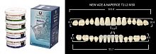 Зубы в боксах New Ace / Million, цвет C4, фасон T1/L2/M30, 20 полных гарнитуров. от Дентал-Ист