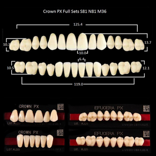 Зубы PX CROWN / EFUCERA, цвет C2, фасон S81/N81/36, полный гарнитур, 28шт. от Дентал-Ист