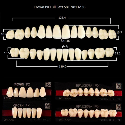 Зубы PX CROWN / EFUCERA, цвет W05, фасон S81/N81/36, полный гарнитур, 28шт. от Дентал-Ист