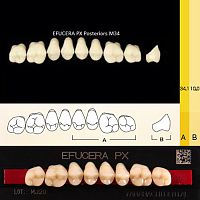 Зубы EFUCERA PX Posteriors, цвет D3, фасон 34, композитные трехслойные боковые верхние, 8 штук на планке.