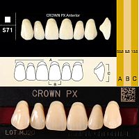 Зубы CROWN PX Anterior, цвет W05, фасон S71 композитные трехслойные, 6 шт.
