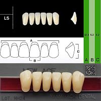 Зубы NEW ACE Anterior, цвет D2, фасон L5 акриловые двухслойные, 6 шт.