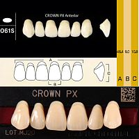 Зубы CROWN PX Anterior, цвет B3, фасон O61S композитные трехслойные, 6 шт. от Дентал-Ист