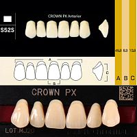 Зубы CROWN PX Anterior, цвет A3.5, фасон S52S композитные трехслойные, 6 шт. от Дентал-Ист