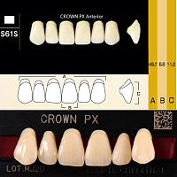 Зубы CROWN PX Anterior, цвет A1, фасон S61S композитные трехслойные, 6 шт. от Дентал-Ист