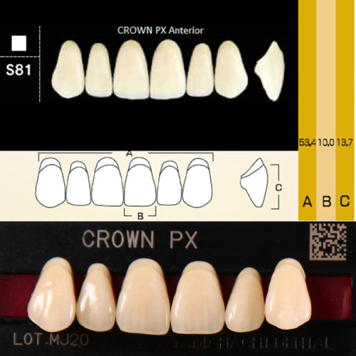 Зубы CROWN PX Anterior, цвет D2, фасон S81 композитные трехслойные, 6 шт.