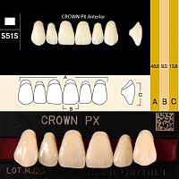 Зубы CROWN PX Anterior, цвет D2, фасон S51S композитные трехслойные, 6 шт.