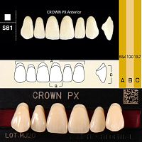 Зубы CROWN PX Anterior, цвет A4, фасон S81 композитные трехслойные, 6 шт. от Дентал-Ист