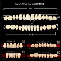 Зубы PX CROWN / EFUCERA, цвет C2, фасон S51S/N42/30, полный гарнитур, 28шт. от Дентал-Ист