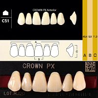 Зубы CROWN PX Anterior, цвет W05, фасон C51 композитные трехслойные, 6 шт.