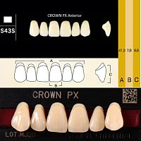 Зубы CROWN PX Anterior, цвет B1, фасон S43S композитные трехслойные, 6 шт. от Дентал-Ист