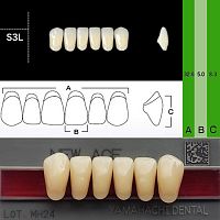 Зубы NEW ACE Anterior, цвет B3, фасон S3L акриловые двухслойные, 6 шт. от Дентал-Ист