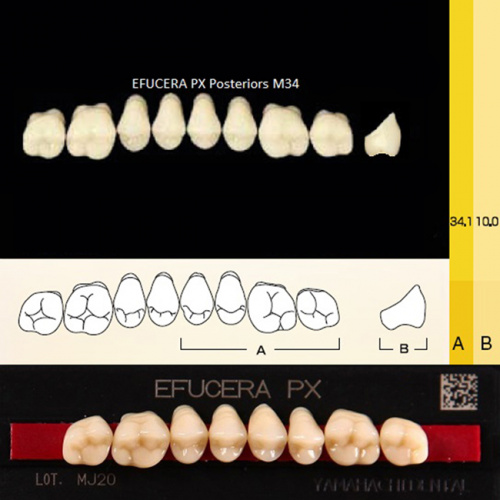 Зубы EFUCERA PX Posteriors, цвет B2, фасон 34, композитные трехслойные боковые верхние, 8 штук на планке. от Дентал-Ист