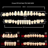 Зубы PX CROWN / EFUCERA, цвет A2, фасон T51/N42/30, полный гарнитур, 28шт. от Дентал-Ист