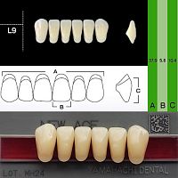 Зубы NEW ACE Anterior, цвет D2, фасон L9 акриловые двухслойные, 6 шт. от Дентал-Ист