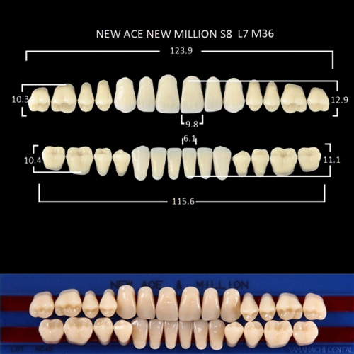 Зубы NEW ACE/NEW MILLION, цвет C2, фасон S8/L7/M36, полный гарнитур, 28шт. от Дентал-Ист