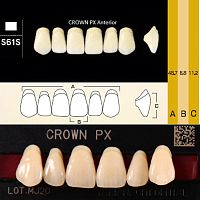 Зубы CROWN PX Anterior, цвет W05, фасон S61S композитные трехслойные, 6 шт.