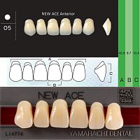 Зубы NEW ACE Anterior, цвет C2, фасон O5 акриловые двухслойные, 6 шт.