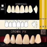 Зубы CROWN PX Anterior, цвет C1, фасон S81 композитные трехслойные, 6 шт.