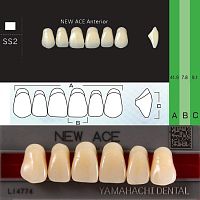 Зубы NEW ACE Anterior, цвет W05, фасон SS2 акриловые двухслойные, 6 шт. от Дентал-Ист