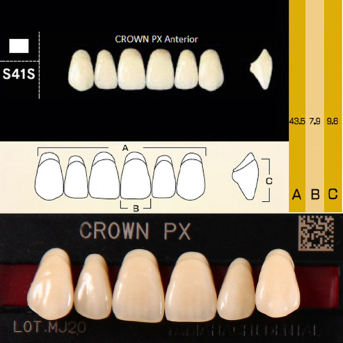 Зубы CROWN PX Anterior, цвет D4, фасон S41S композитные трехслойные, 6 шт. от Дентал-Ист