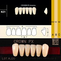 Зубы CROWN PX Anterior, цвет B3 фасон N31 композитные трёхслойные, 6шт.