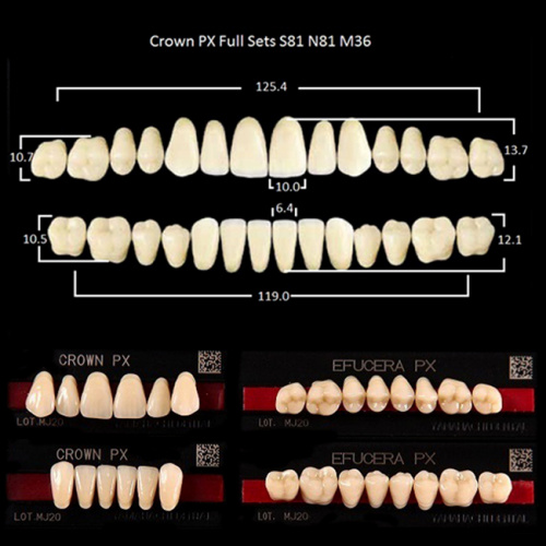 Зубы PX CROWN / EFUCERA, цвет A3 фасон S81/N81/36, полный гарнитур, 28шт.